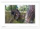 Thumbnail-14