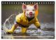 Thumbnail-8