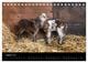 Thumbnail-10