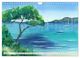 Thumbnail-8