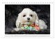 Thumbnail-14