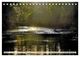 Thumbnail-12