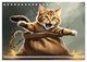 Thumbnail-13
