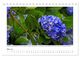 Thumbnail-10