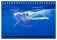 Thumbnail-8