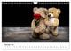 Thumbnail-7