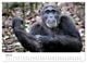 Thumbnail-12