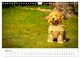 Thumbnail-9