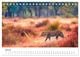 Thumbnail-12