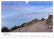 Thumbnail-12
