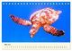 Thumbnail-10