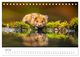 Thumbnail-12