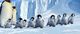 Thumbnail-11