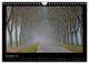 Thumbnail-14