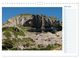 Thumbnail-8