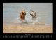 Thumbnail-9
