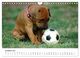 Thumbnail-12