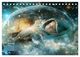 Thumbnail-8