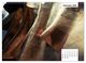 Thumbnail-14
