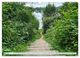 Thumbnail-8