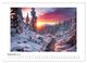 Thumbnail-14