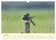 Thumbnail-11