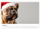 Thumbnail-12