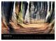 Thumbnail-14