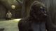 Thumbnail-10