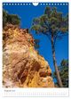 Thumbnail-13