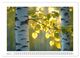 Thumbnail-9