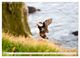 Thumbnail-8