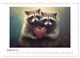 Thumbnail-14