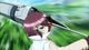 Thumbnail-11