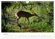 Thumbnail-9