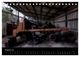 Thumbnail-10