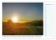 Thumbnail-14