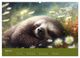 Thumbnail-8