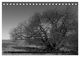 Thumbnail-14