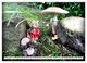 Thumbnail-12