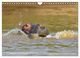 Thumbnail-9