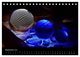 Thumbnail-14