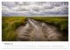 Thumbnail-12