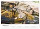 Thumbnail-11