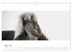 Thumbnail-9