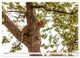 Thumbnail-10
