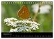 Thumbnail-14
