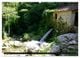 Thumbnail-11