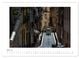 Thumbnail-9