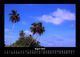Thumbnail-12